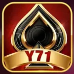 y71 game